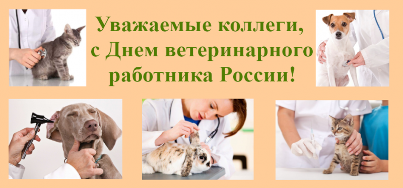 Уважаемые коллеги, с Днем ветеринарного работника России!